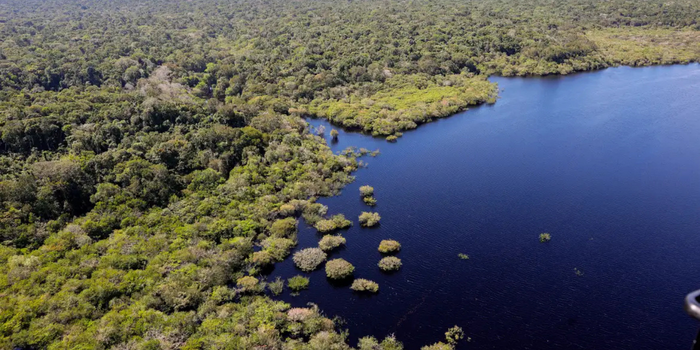 Estudo da FGV estima que a redução do desmatamento na Amazônia e no Cerrado pode ter evitado R$ 1,16 trilhão em danos climáticos globais.