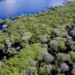 Desmatamento em unidades de conservação da Amazônia cai ao menor nível desde 2008, com redução de 17% em 2026, segundo dados do ICMBio e do Inpe.
