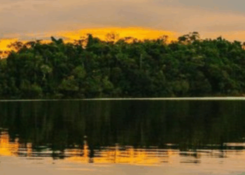 Conheça o Complexo de Conservação da Amazônia Central, Patrimônio Mundial da Unesco que reúne biodiversidade, turismo de natureza e paisagens únicas no Amazonas.