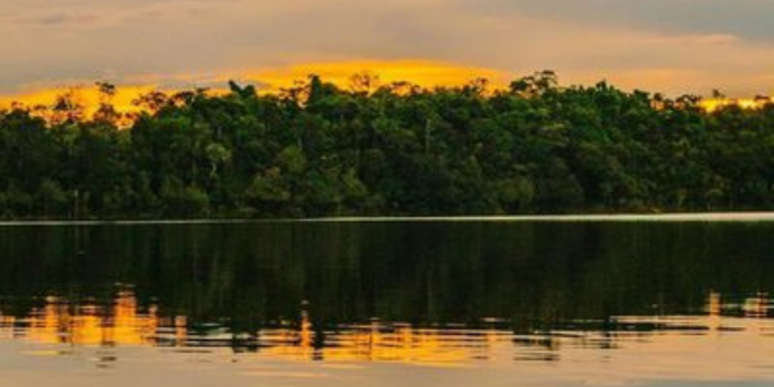 Conheça o Complexo de Conservação da Amazônia Central, Patrimônio Mundial da Unesco que reúne biodiversidade, turismo de natureza e paisagens únicas no Amazonas.