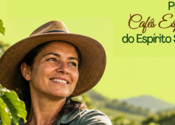 Prêmio Cafés Especiais do Espírito Santo 2026 recebe 287 amostras de arábica e conilon e destaca o protagonismo das mulheres na cafeicultura capixaba.