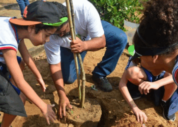 Projeto Ecos da Restinga, em Vitória, promove educação ambiental e mostra a importância da vegetação para proteger a orla e preservar a biodiversidade.