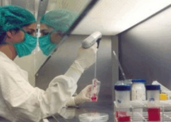 Instituições privadas têm até 7 de outubro para aderir às vagas remanescentes do Fies 2026. Inscrições dos estudantes começam em 26 de outubro.
