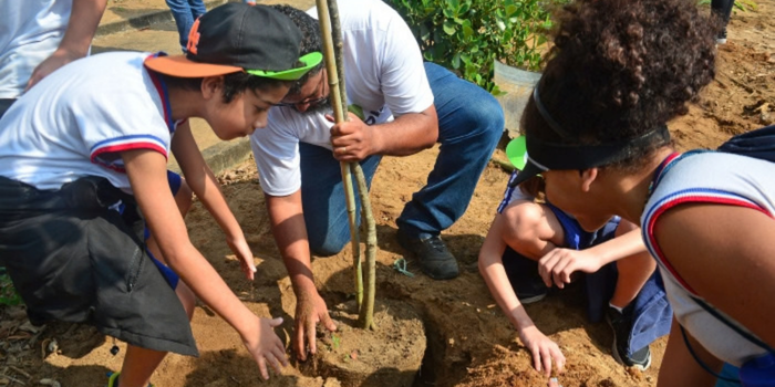 Projeto Ecos da Restinga, em Vitória, promove educação ambiental e mostra a importância da vegetação para proteger a orla e preservar a biodiversidade.