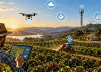 Conectividade no campo ajuda produtores rurais a acessar informações, serviços e tecnologias para aumentar a eficiência e modernizar a produção agrícola.
