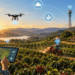 Conectividade no campo ajuda produtores rurais a acessar informações, serviços e tecnologias para aumentar a eficiência e modernizar a produção agrícola.